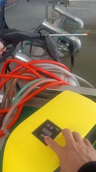 Intelligent Inverter High Pressure Washer